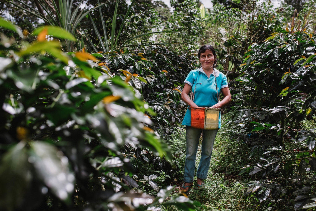 Meet Rosa, our second partner-farmer.